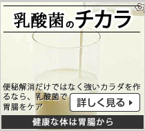 乳酸菌を見る